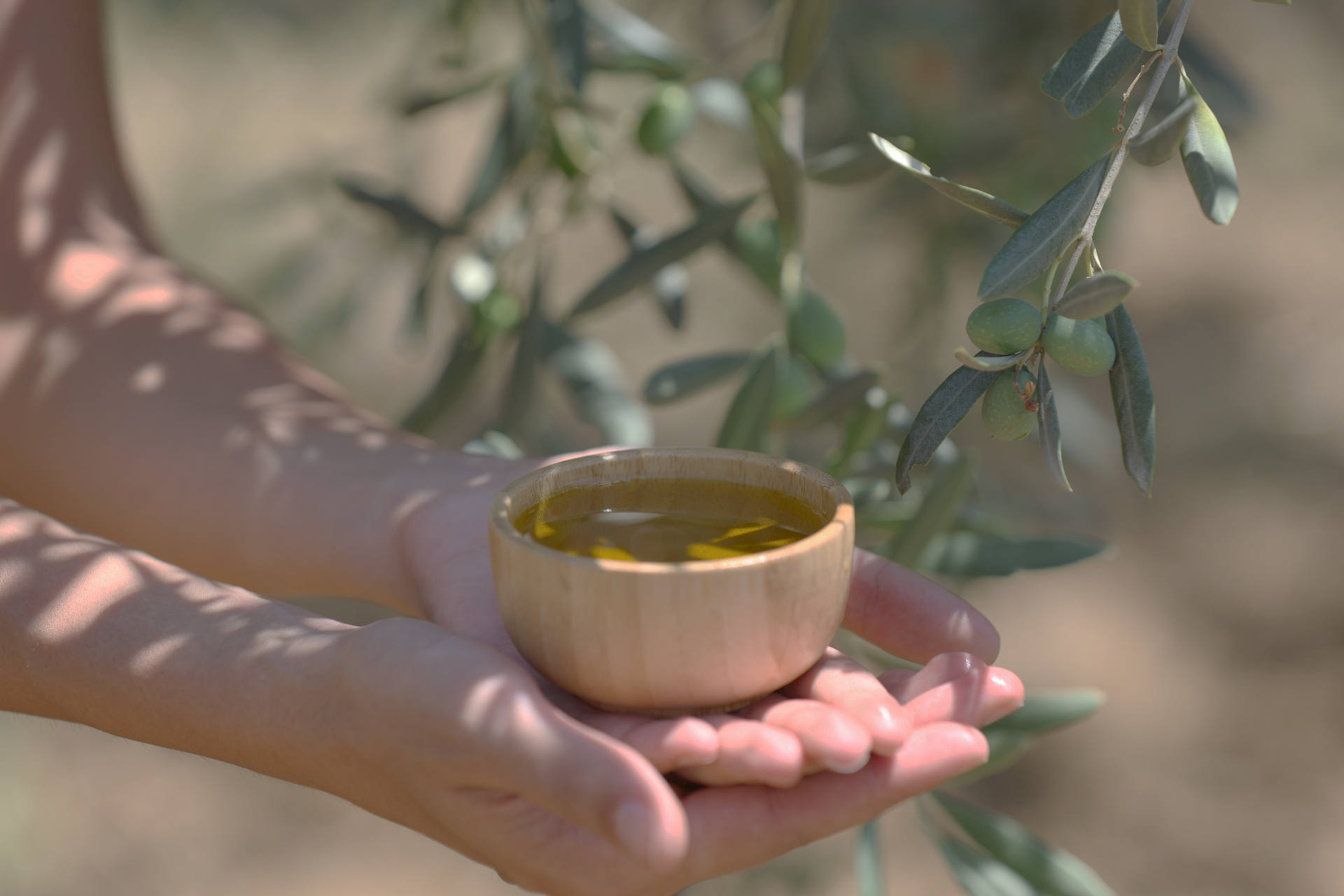 Fresh olive oil tasting