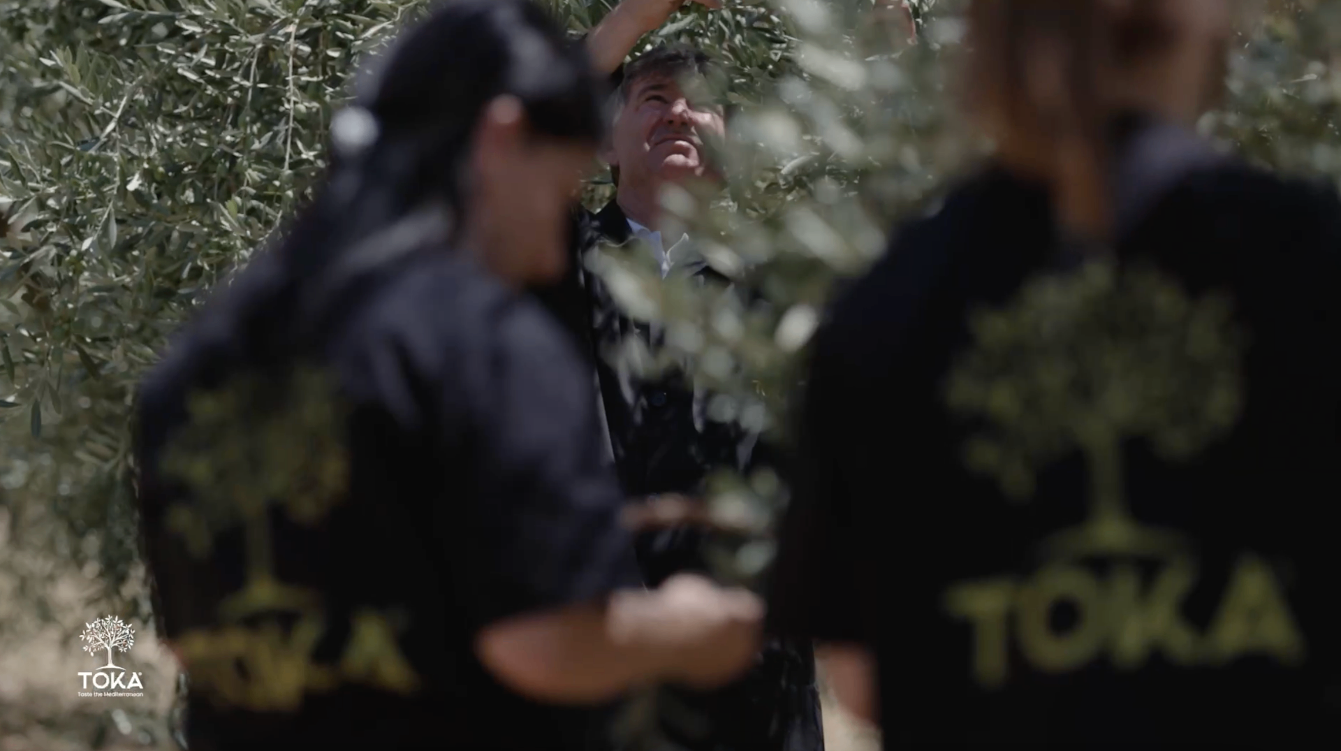 The harvest team at work in the groves